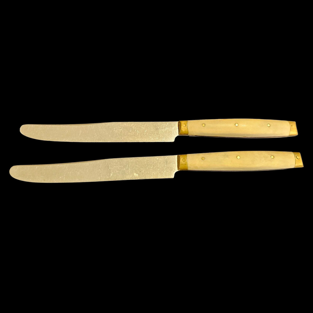 Vintage Sabatier France Celluloid Handle Dinner Knives Pair Stainless Steel